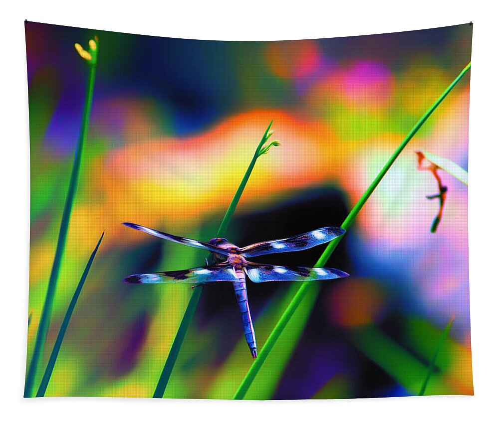 Dragonfly Tapestry featuring the photograph Dragonfly on Pastels by Bill and Linda Tiepelman