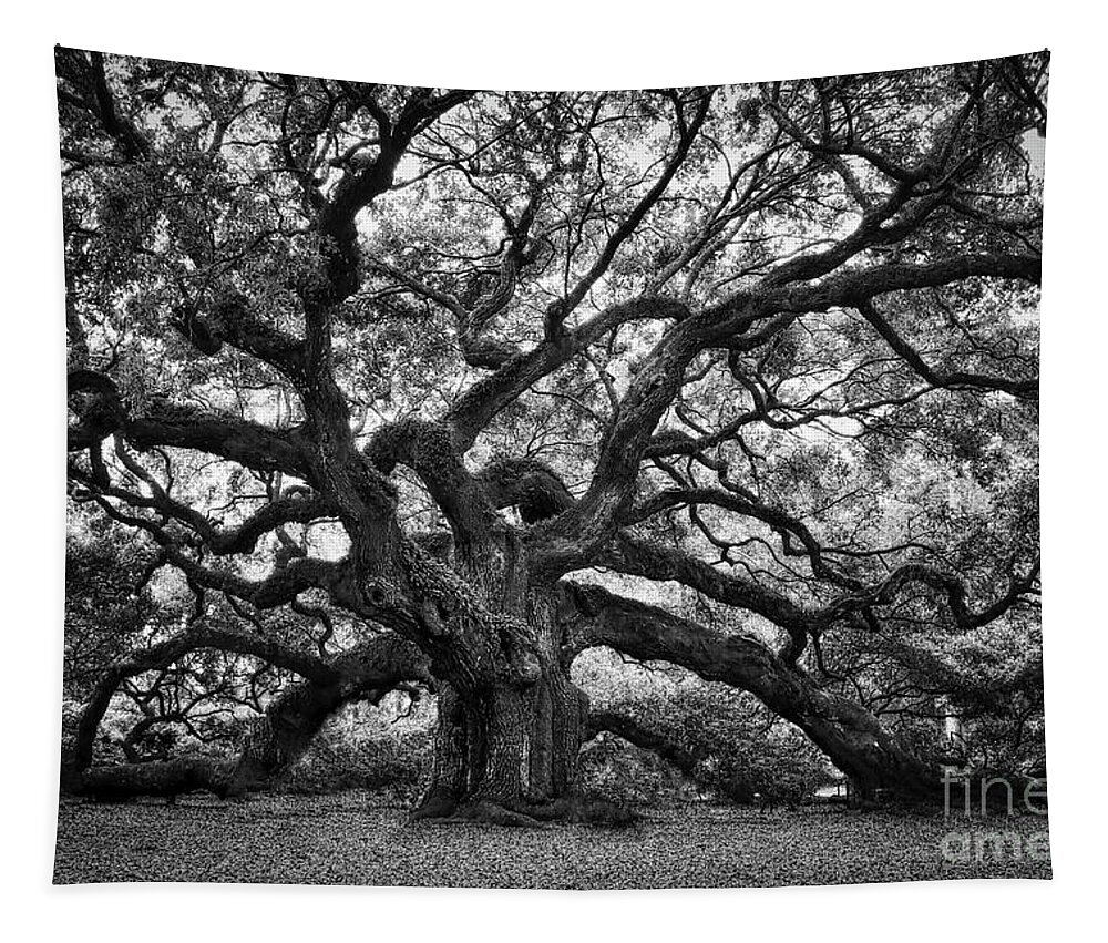 Angel Oak Tapestry featuring the photograph Dramatic Angel Oak in Black and White by Carol Groenen