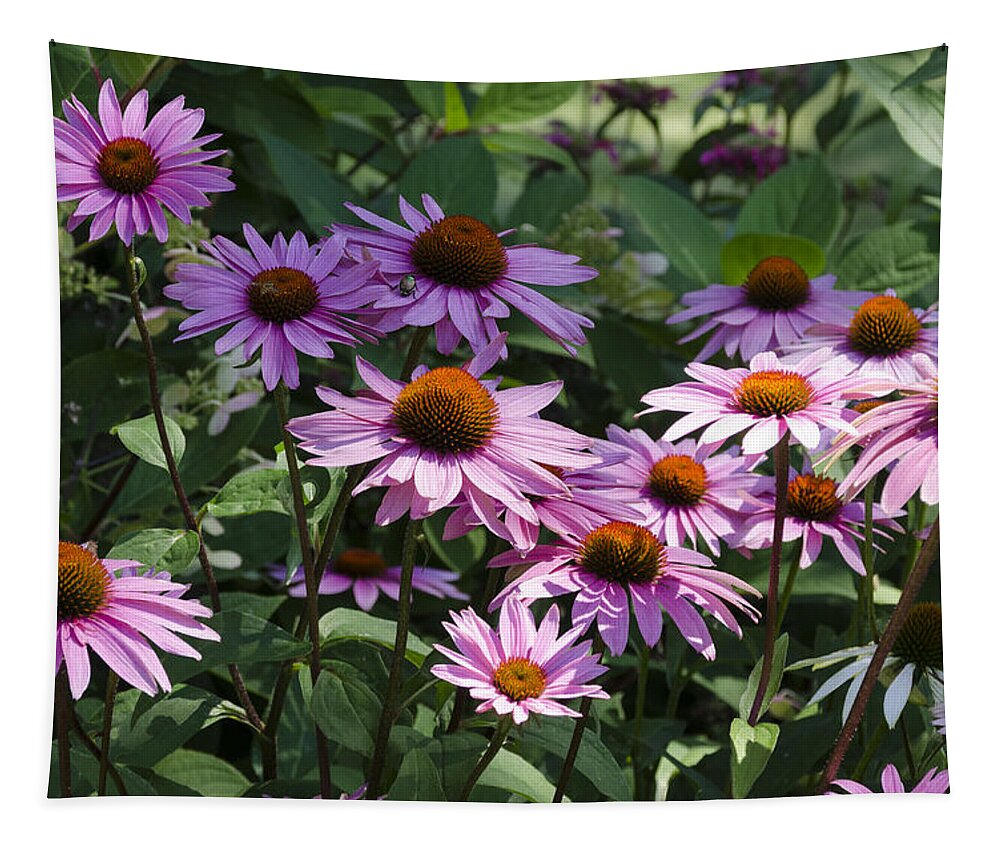 Coneflowers Tapestry featuring the photograph Dramatic Coneflowers by Lynn Hansen