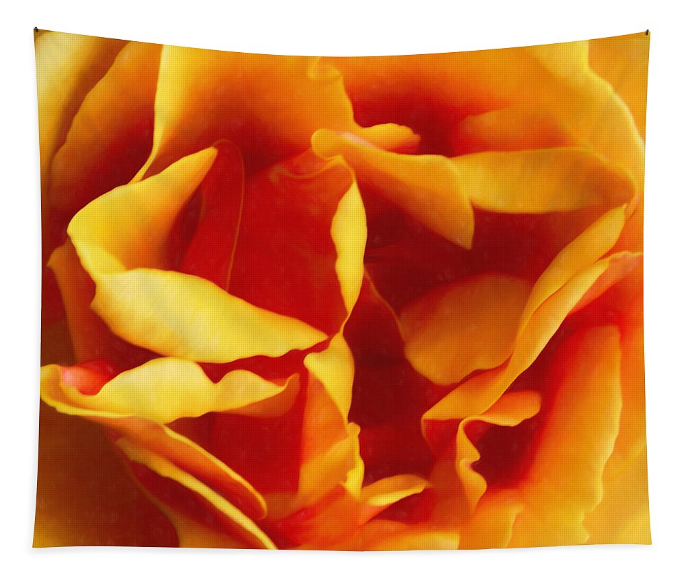 Dramatic Yellow Rose Tapestry featuring the photograph Dramatic Yellow Rose by Bonnie Follett