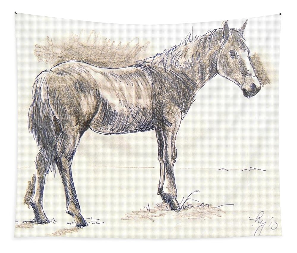 Horse Tapestry featuring the drawing Drawing of a Horse by Mike Jory
