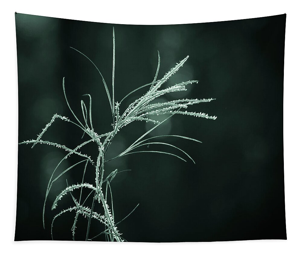 Dream Catcher Tapestry featuring the photograph Dream Catcher by Mary Amerman