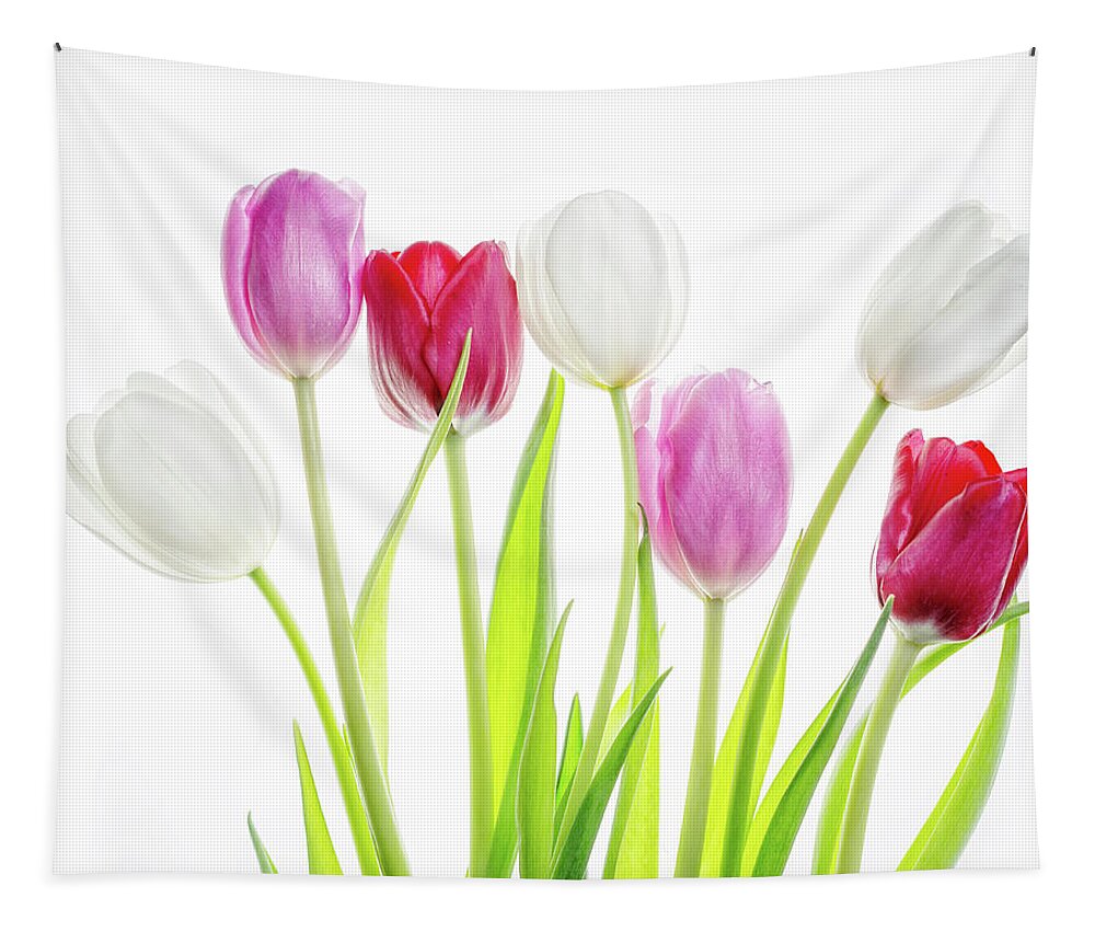 Tulips Tapestry featuring the photograph Dreaming of Spring by Rebecca Cozart