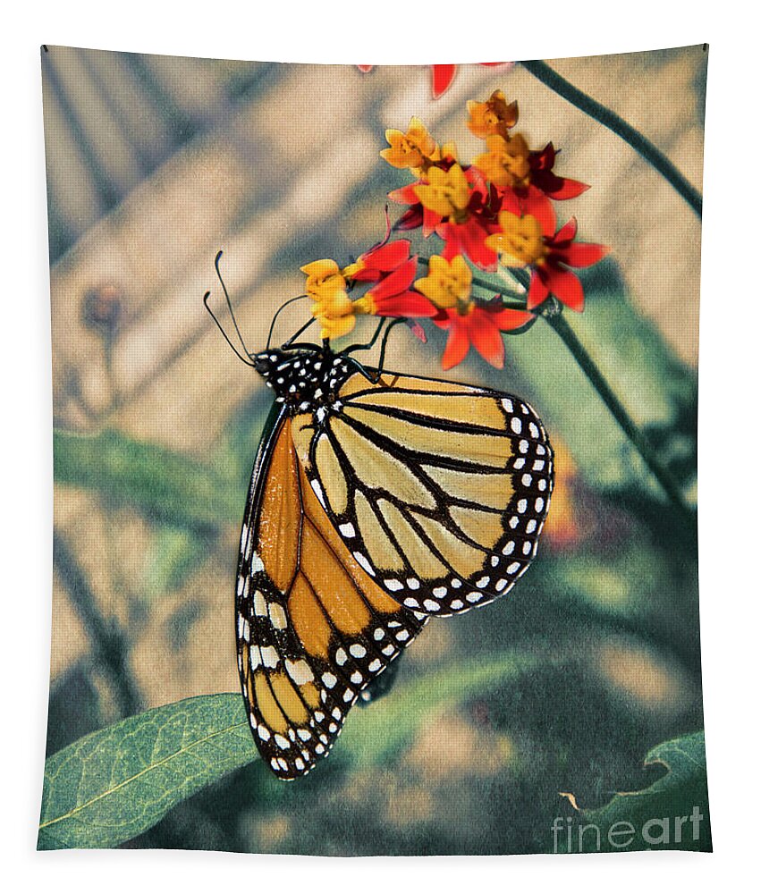 Mariola Tapestry featuring the photograph Dreamy Butterfly by Mariola Bitner