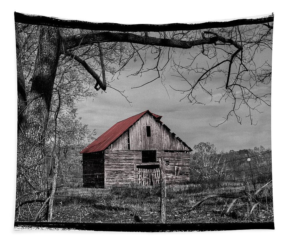Andrews Tapestry featuring the photograph Dressed In Red by Debra and Dave Vanderlaan