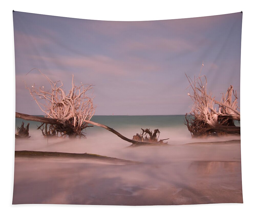 Driftwood Tapestry featuring the photograph Driftwood 4121889 by Rolf Bertram