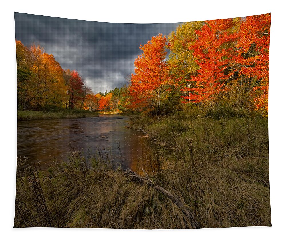Kelly River Wilderness Area Tapestry featuring the photograph Driftwood And Autumn Colors by Irwin Barrett