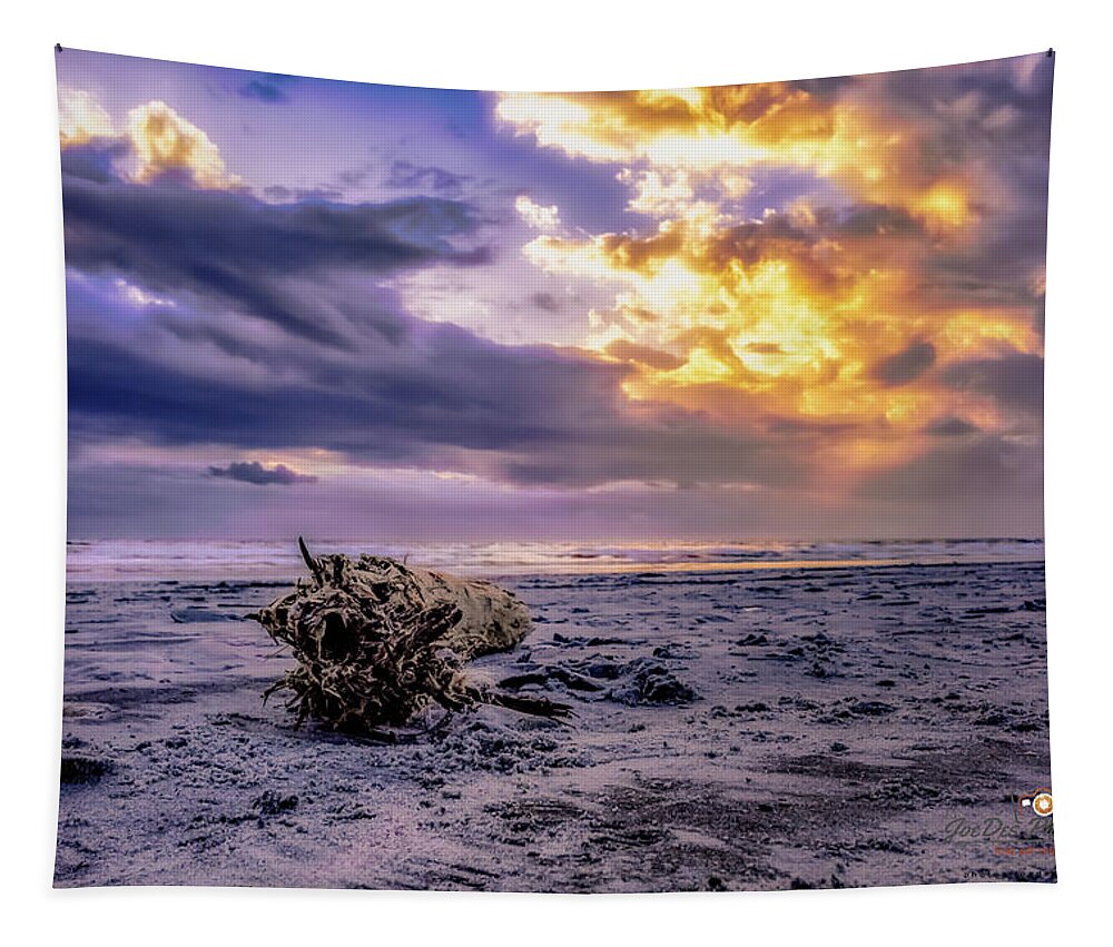 Driftwood Tapestry featuring the photograph Driftwood Morning by Joseph Desiderio