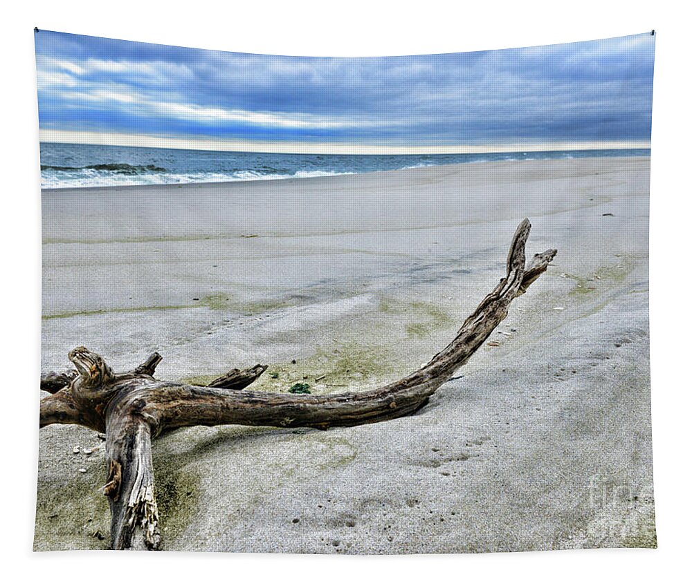 Paul Ward Tapestry featuring the photograph Driftwood on the Beach by Paul Ward