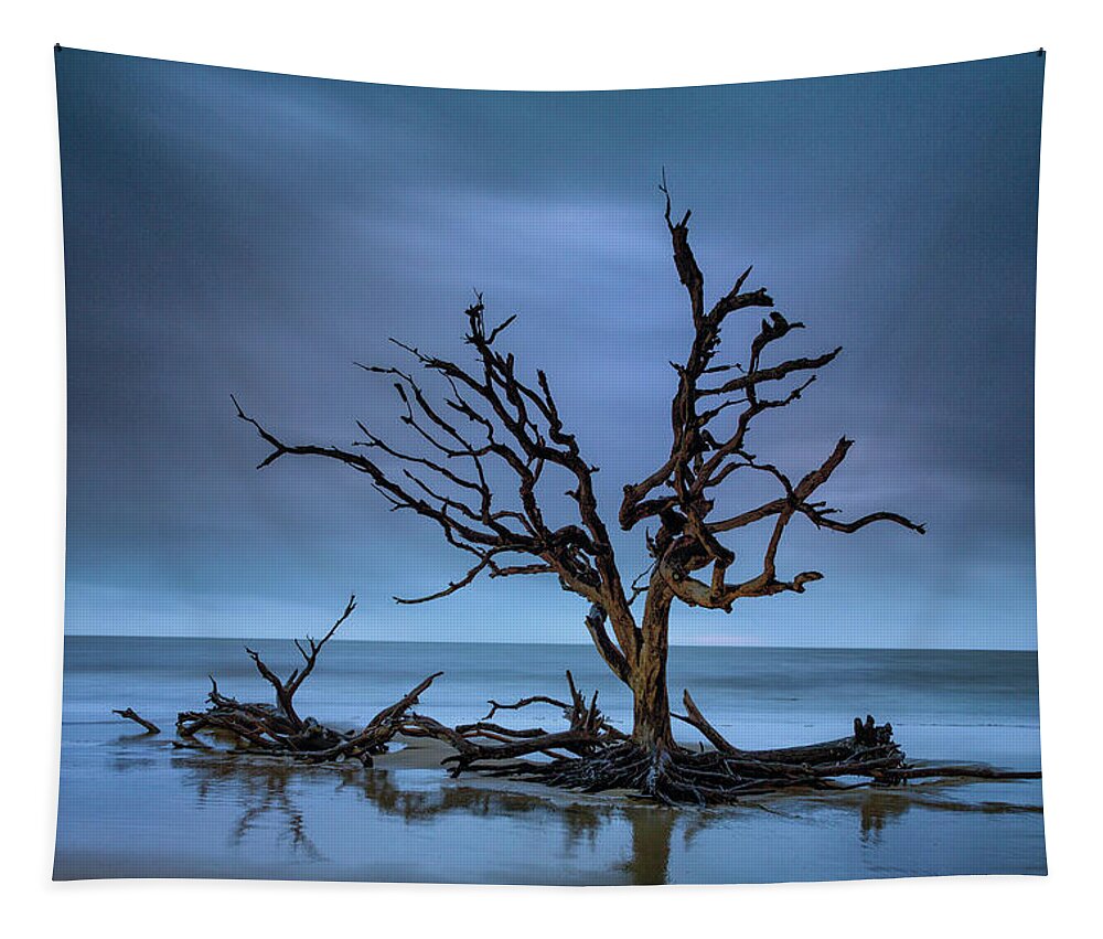Driftwood Tapestry featuring the photograph Driftwood Tree by Fran Gallogly