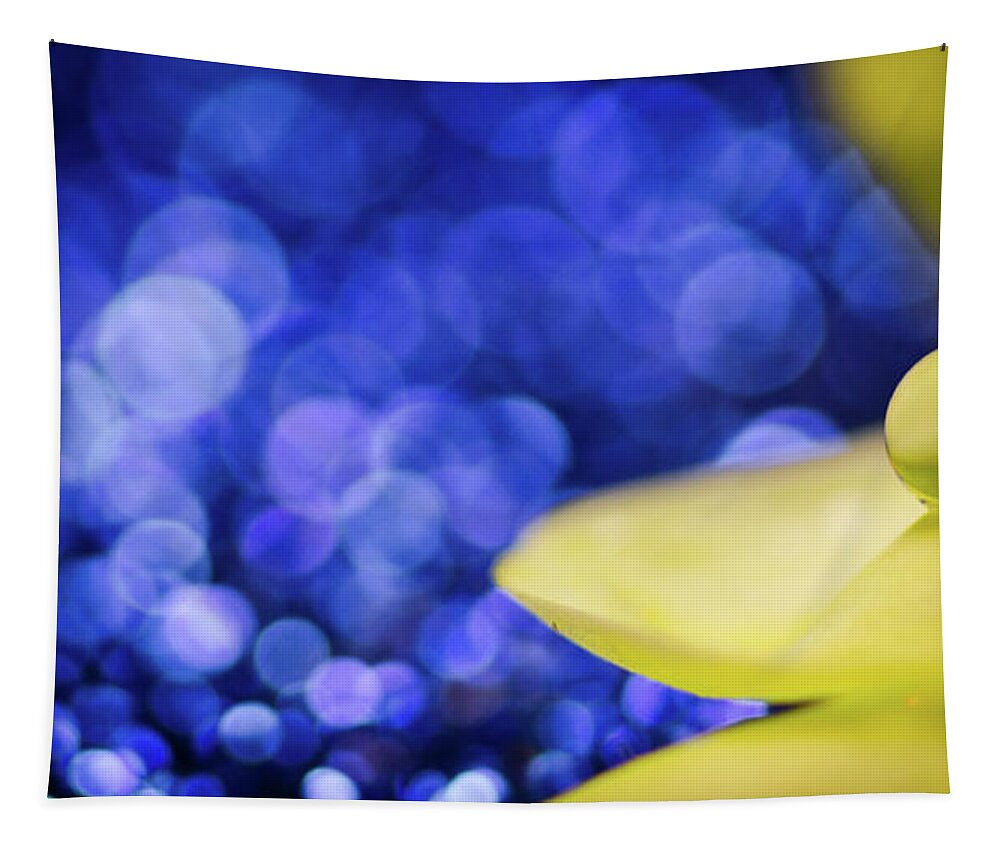 Bokeh Tapestry featuring the photograph Dropped by Sandra Parlow