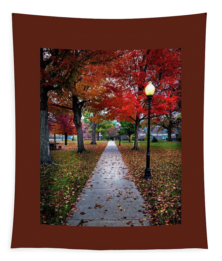 Fall Tapestry featuring the photograph Drury Fall by Allin Sorenson