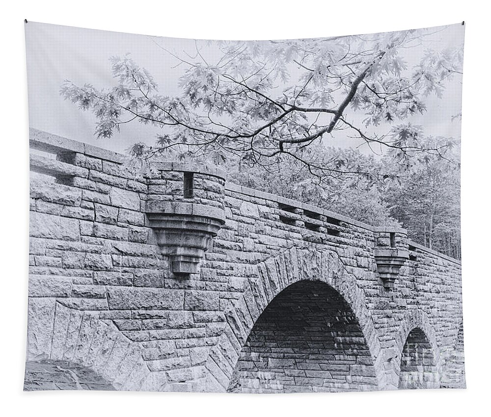 Acadia National Park Tapestry featuring the photograph Duck Brook Bridge in Black and White by Anita Pollak