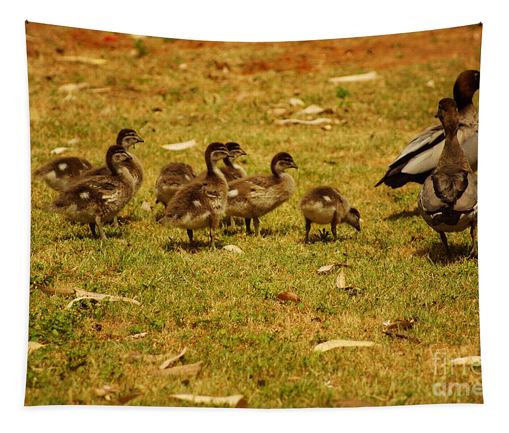 Duck Tapestry featuring the photograph Duck Family I by Cassandra Buckley