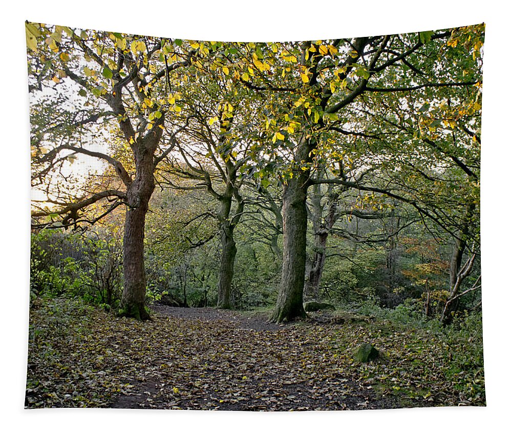 Autumn Tapestry featuring the photograph Dusk in the autumn woods. by Elena Perelman