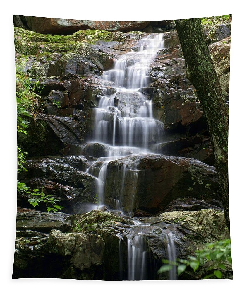 Waterfalls Tapestry featuring the photograph E Falls by Marty Koch