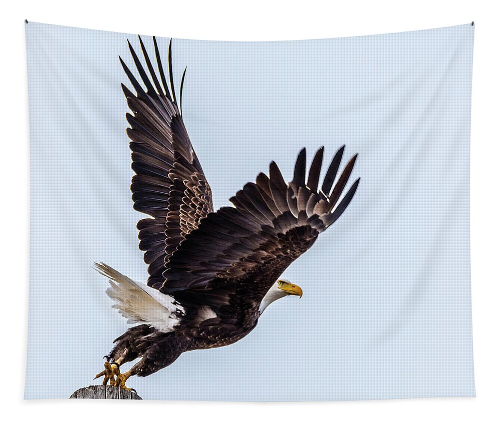 Bald Eagle Tapestry featuring the photograph Eagle Taking Flight by Yeates Photography