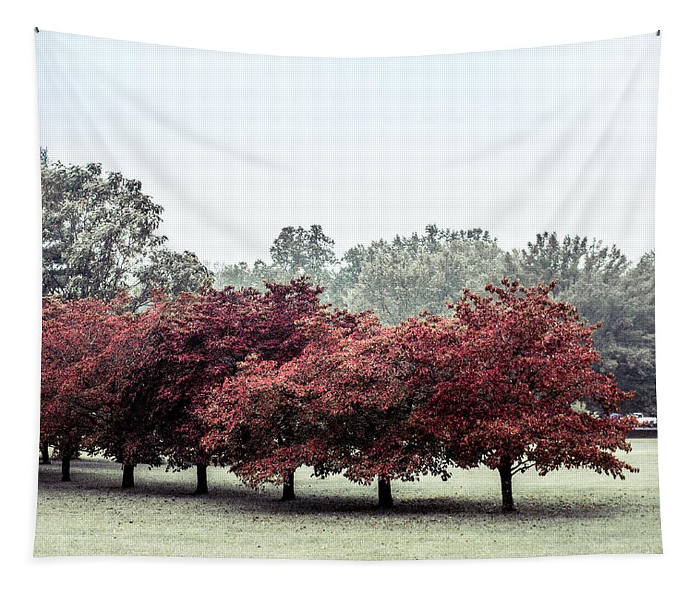 Fall Tapestry featuring the photograph Early Fall by Carlee Ojeda