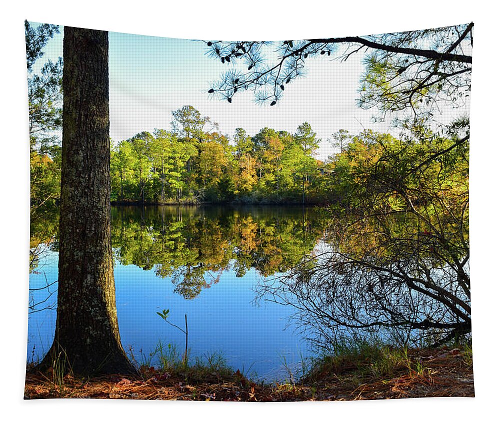 Fall Tapestry featuring the photograph Early Fall Reflections by Nicole Lloyd