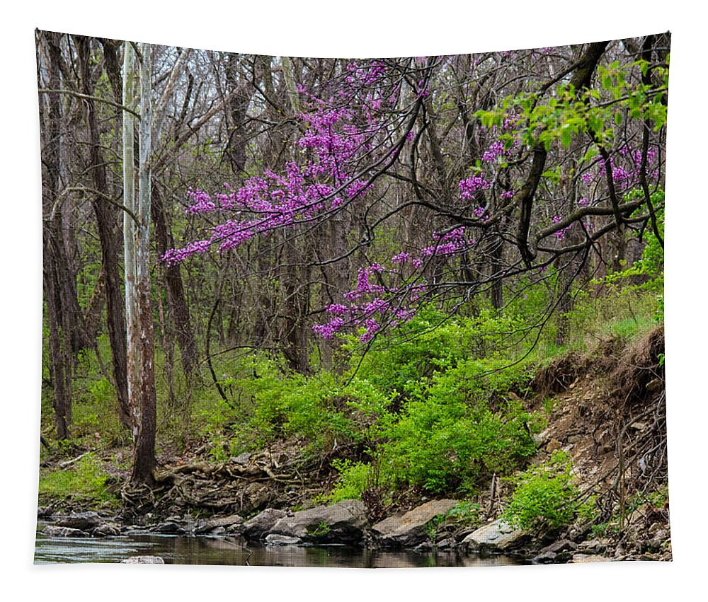 Nature Tapestry featuring the photograph Early Spring on Mill Creek 2 by Jeff Phillippi
