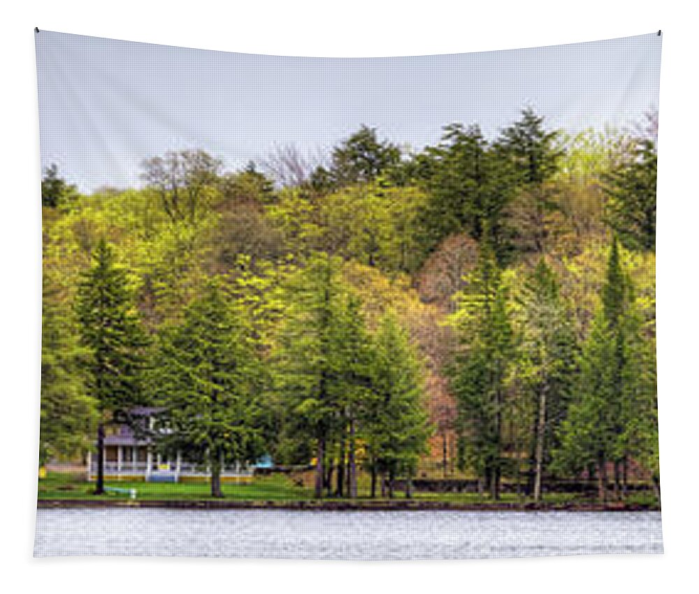Early Spring Panorama Tapestry featuring the photograph Early Spring Panorama by David Patterson