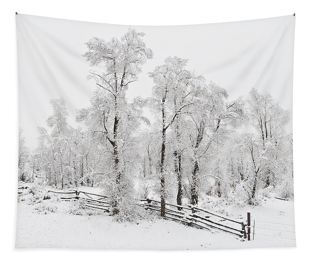 Trees Tapestry featuring the photograph Spring in Wyoming by John Christopher