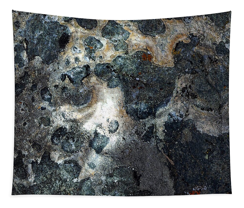 Rock Tapestry featuring the photograph Earth Memories - Stone # 8 by Ed Hall