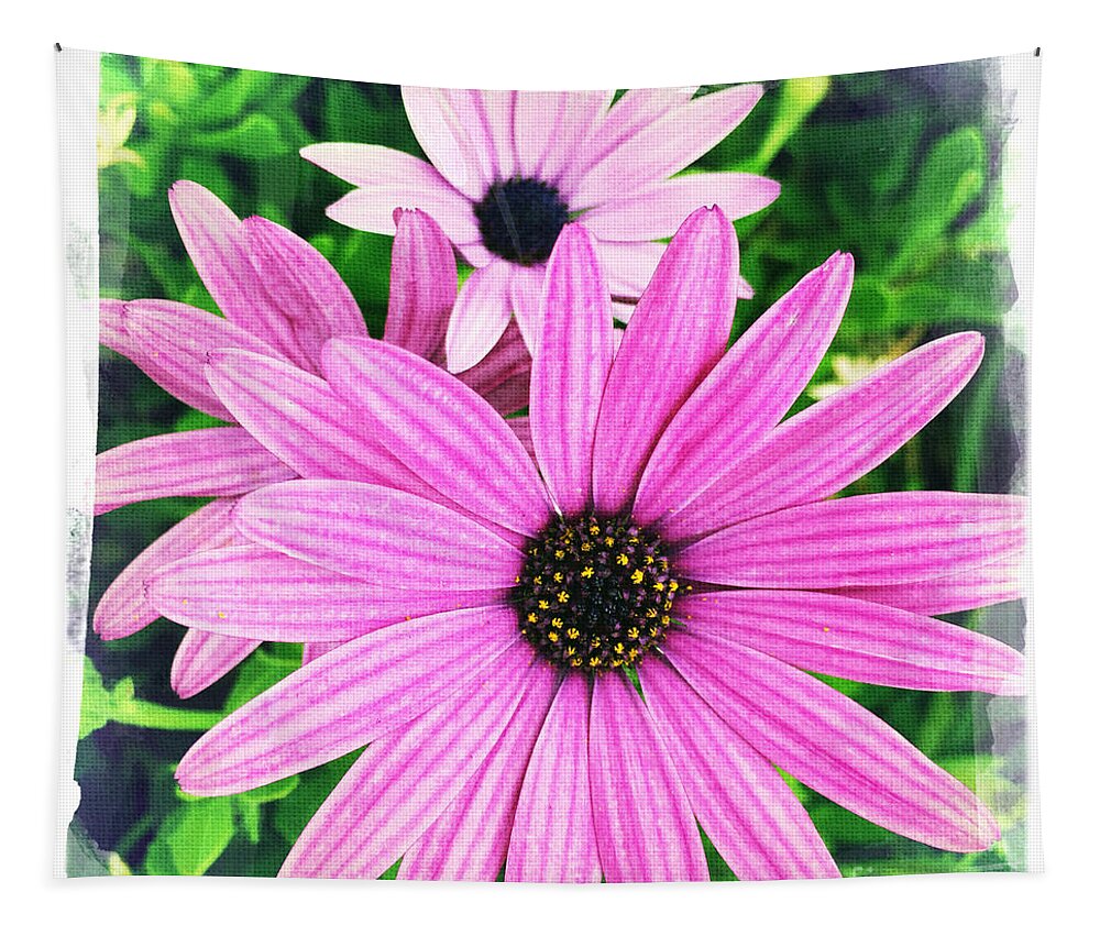 Eastern Purple Coneflower Tapestry featuring the photograph Eastern Purple Coneflower by Nina Prommer