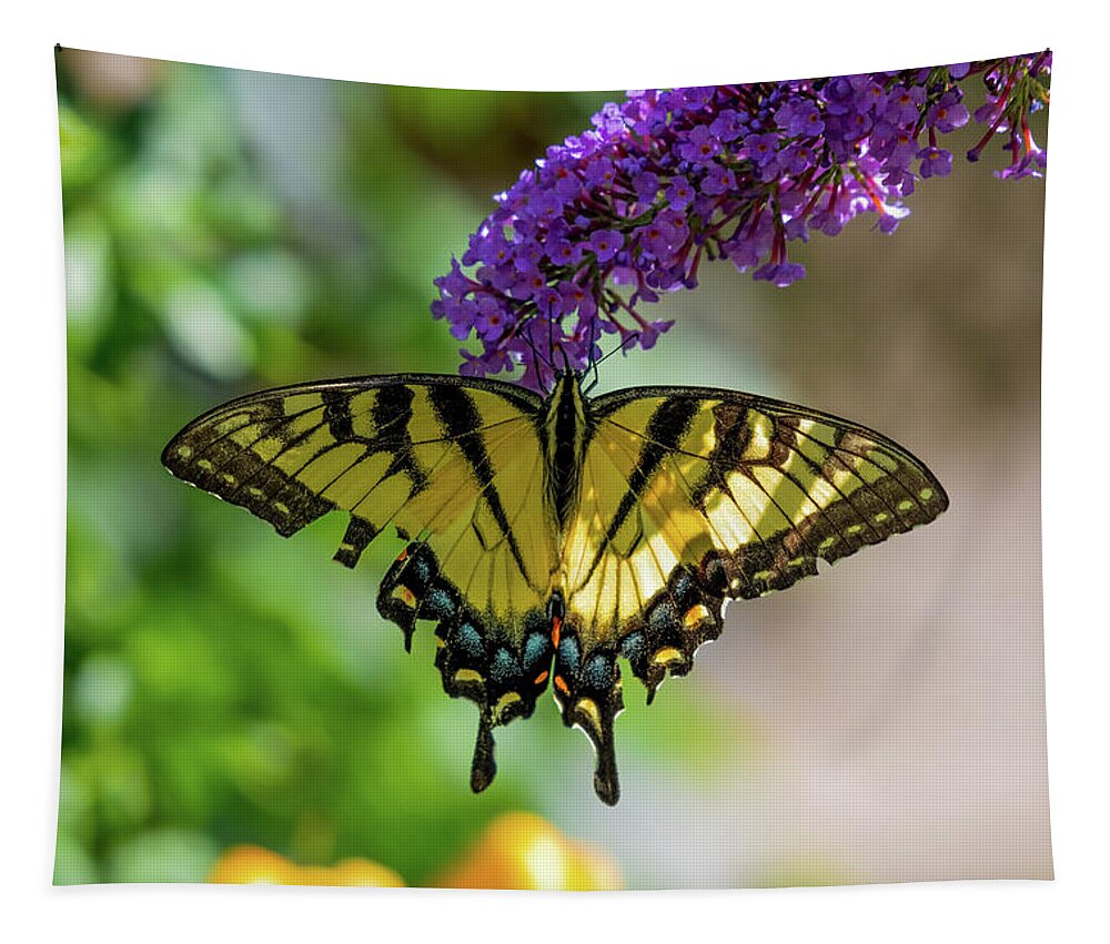 Eastern Tiger Swallowtail Butterfly Tapestry featuring the photograph Eastern Tiger Swallowtail Butterfly by Sam Rino