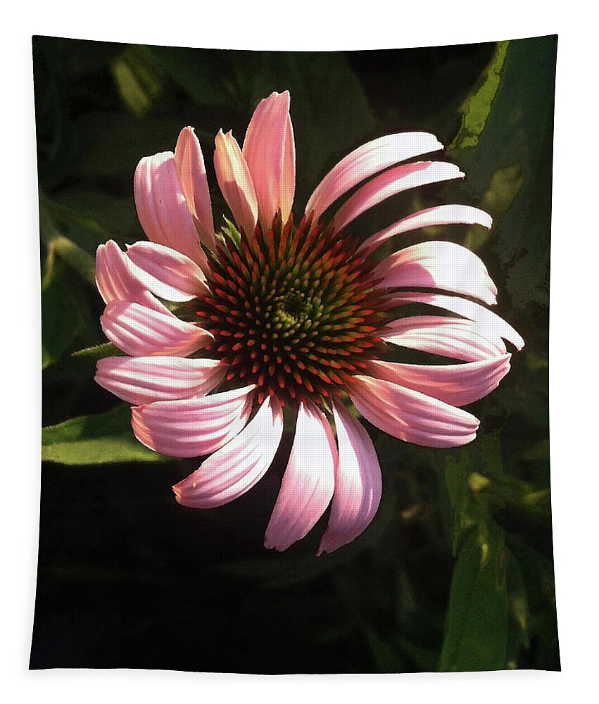 Flower Tapestry featuring the photograph Echinacea by Steve Karol