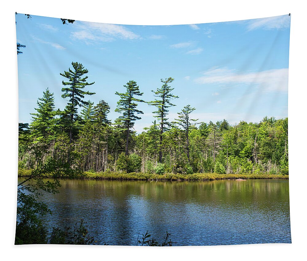 Lake Tapestry featuring the photograph Echo Lake Lake Placid NY New York Cobble Lookout Trail by Toby McGuire