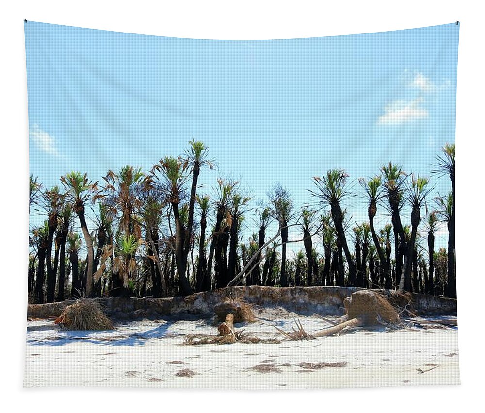 Photo For Sale Tapestry featuring the photograph Egmont Fire and Water by Robert Wilder Jr