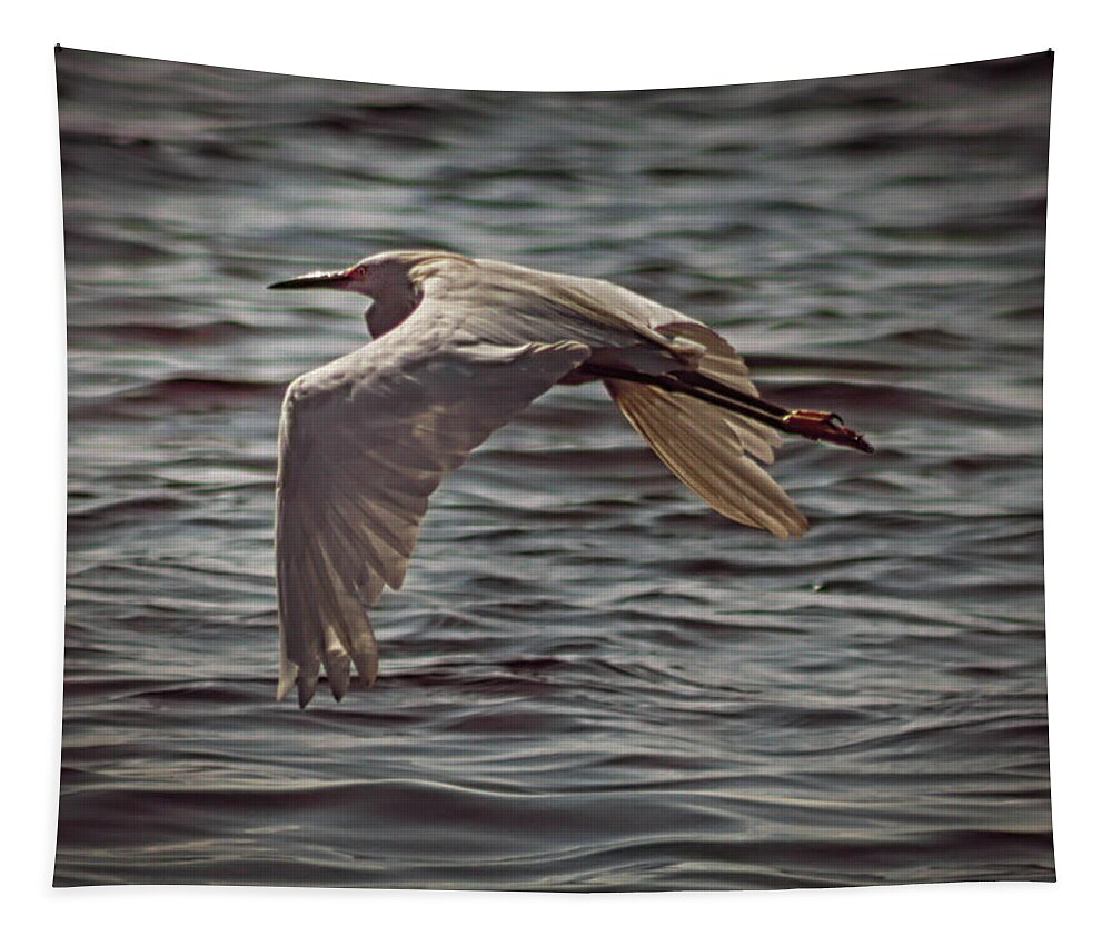 Egret Tapestry featuring the photograph Egret In Flight 2 by Debra Forand