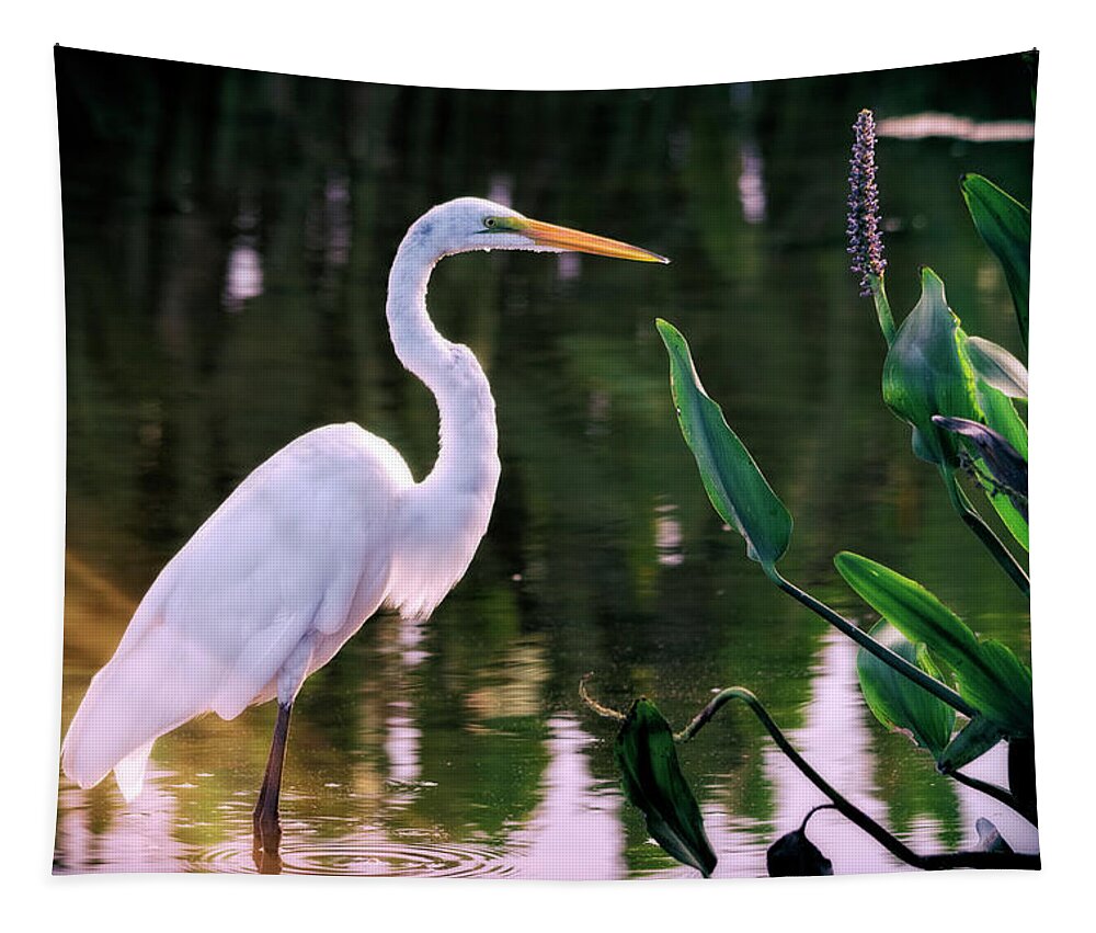 Great White Egret Tapestry featuring the photograph Egret in the Everglades by Saija Lehtonen
