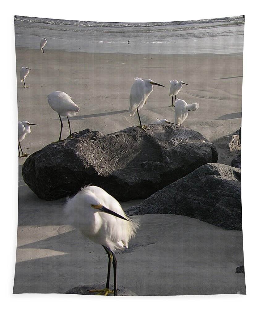 Photography Tapestry featuring the photograph Egrets 10-6-15 by Julianne Felton