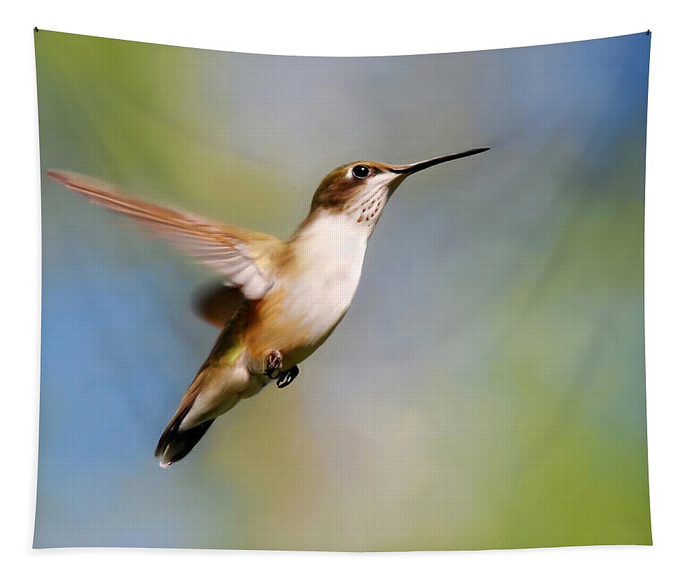 Bird Tapestry featuring the painting Elegant Hummingbird Painting by Christina Rollo