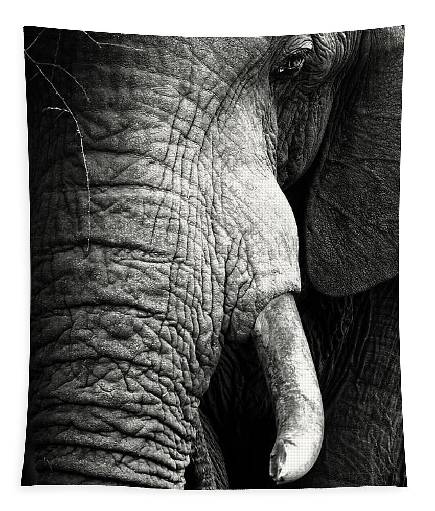 Elephant Tapestry featuring the photograph Elephant close-up portrait by Johan Swanepoel