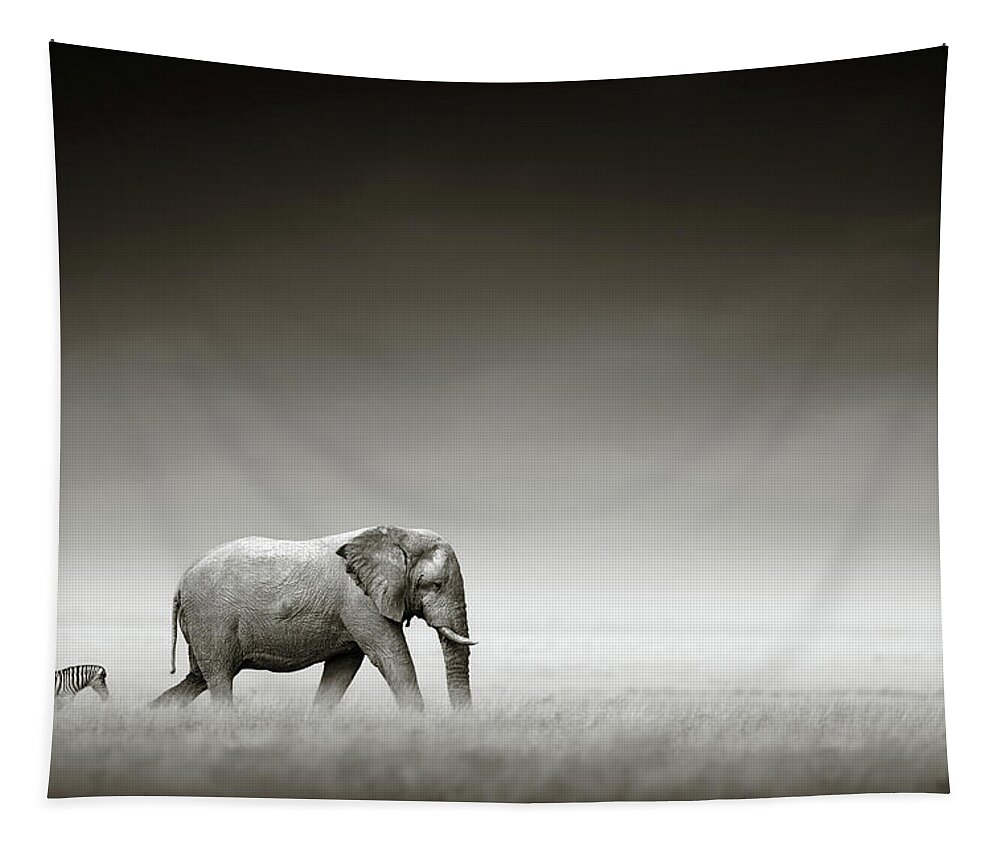 Elephant; Zebra; Behind; Follow; Huge; Big; Grass; Grassland; Field; Open; Plains; Grassfield; Dark; Sky; Together; Togetherness; Art; Artistic; Black; White; B&w; Monochrome; Image; African; Animal; Wildlife; Wild; Mammal; Animal; Two; Moody; Outdoor; Nature; Africa; Nobody; Photograph; Etosha; National; Park; Loxodonta; Africana; Walk; Namibia Tapestry featuring the photograph Elephant with zebra by Johan Swanepoel