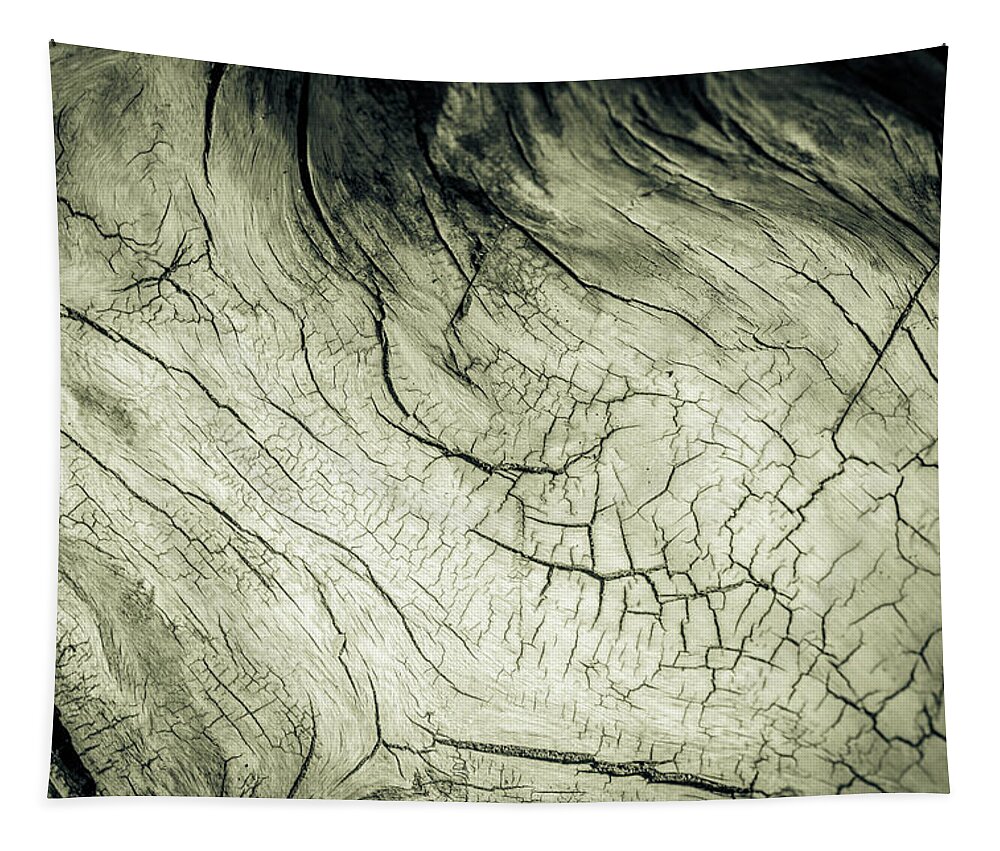 Drift Wood Art Tapestry featuring the photograph Elephant Wood of Memory by John Williams