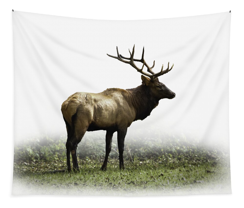 Elk Tapestry featuring the photograph Elk III by Debra and Dave Vanderlaan