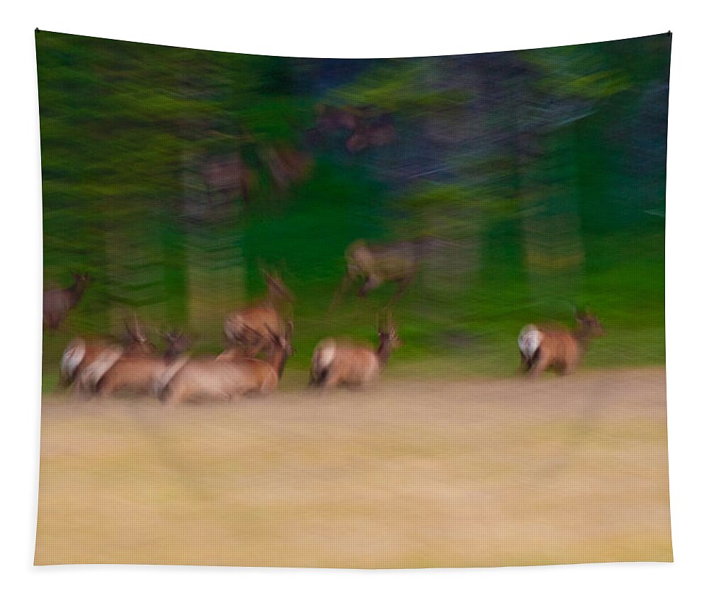 Yellowstone Tapestry featuring the photograph Elk on the Run by Sebastian Musial