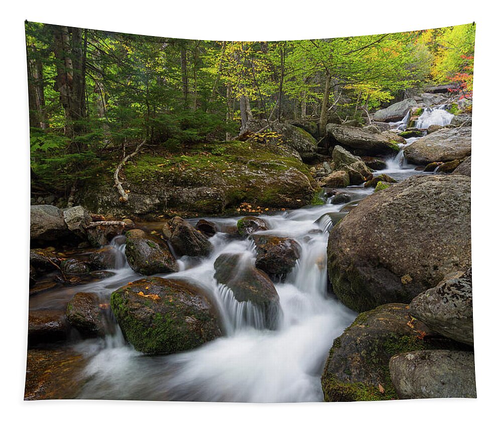 Autumn Tapestry featuring the photograph Ellis River New Hampshire by Bill Wakeley