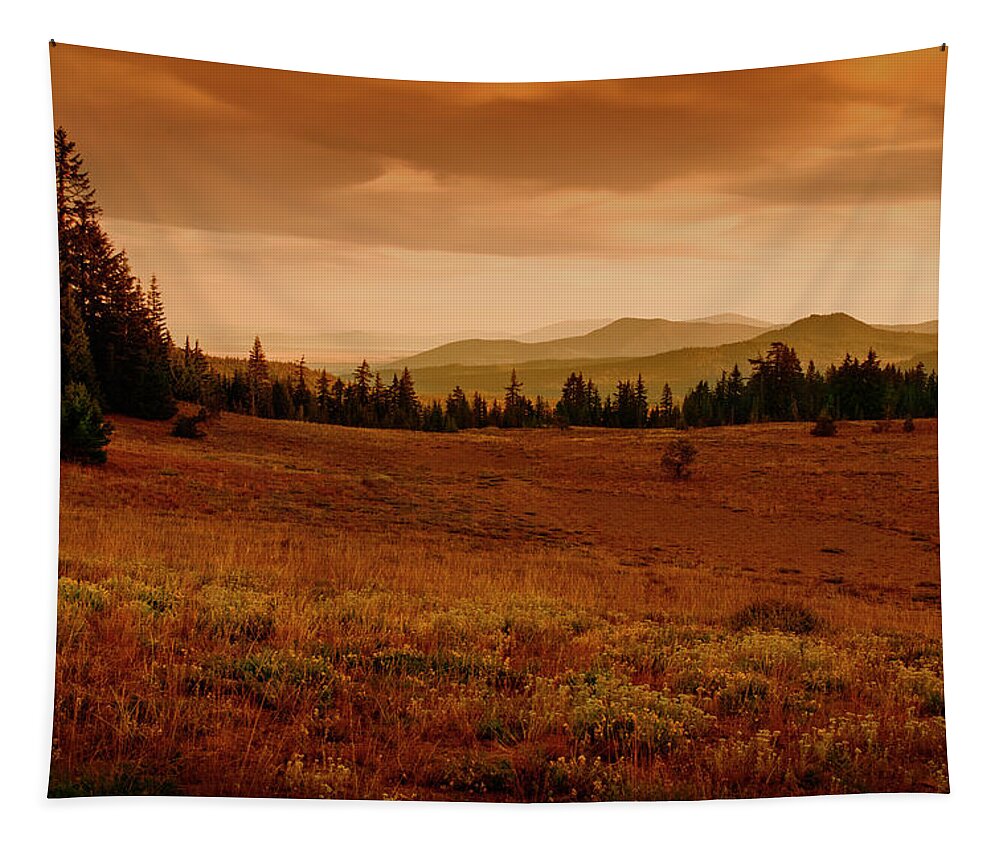 Mountains Tapestry featuring the photograph End Of Day by Frank Wilson