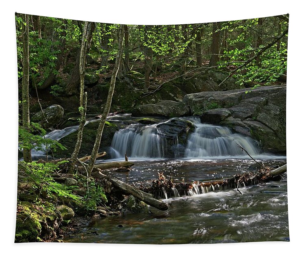 Waterfall Tapestry featuring the photograph Enders #1 Long View by Allan Van Gasbeck