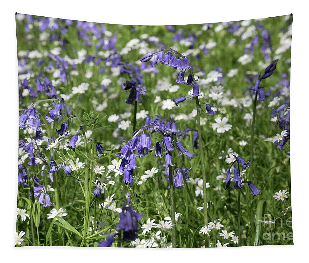 Bluebells Tapestry featuring the photograph English Blue and White Flowers by Julia Gavin