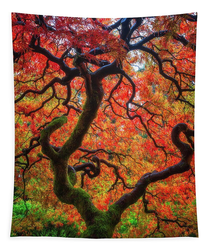 Trees Tapestry featuring the photograph Ethereal Tree Alive by Darren White