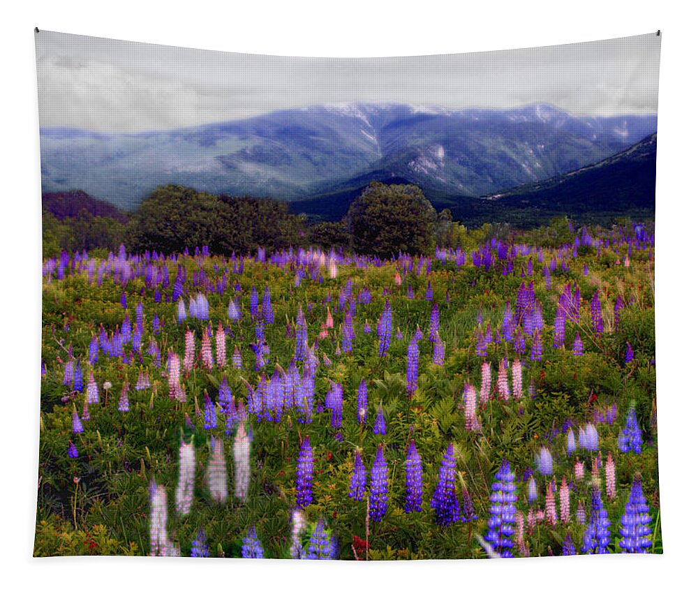 Franconia Range Tapestry featuring the photograph Etherial Lupines by Wayne King