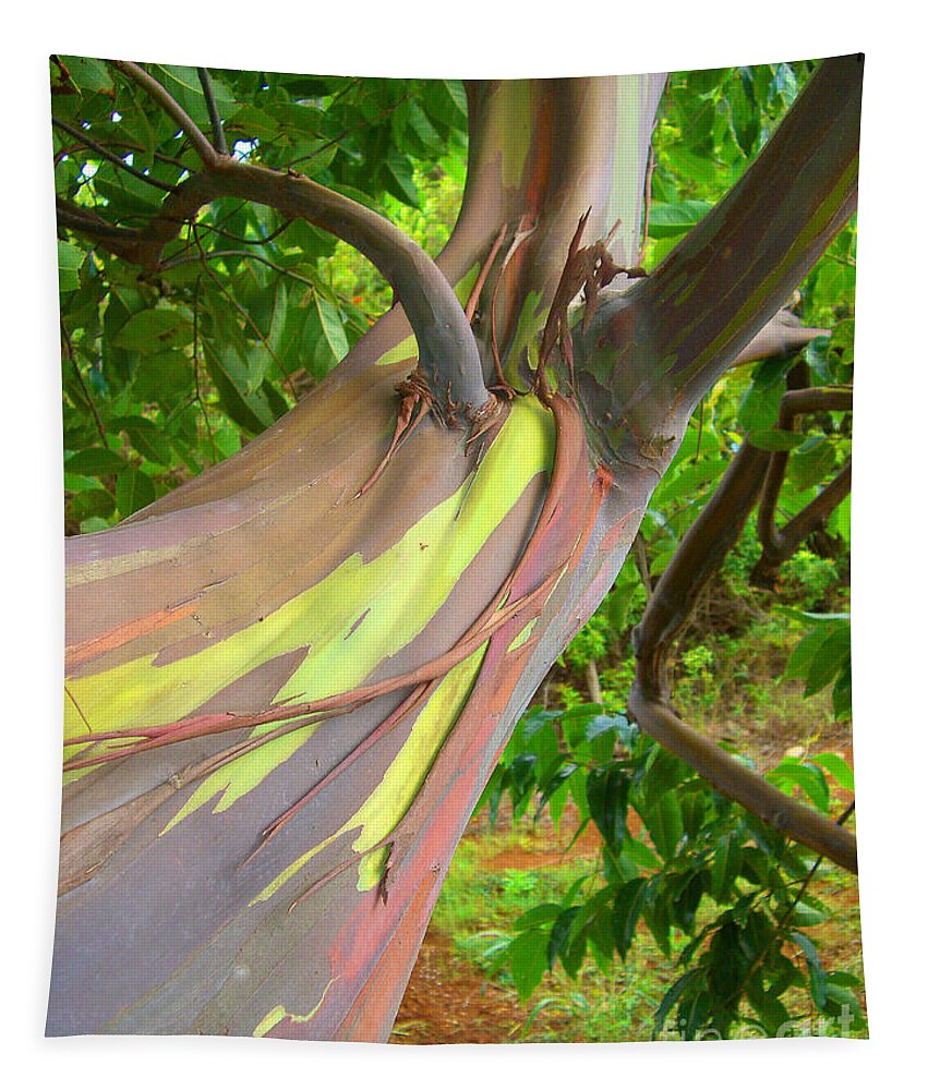Background Tapestry featuring the photograph Eucalyptus Tree by Ron Dahlquist - Printscapes