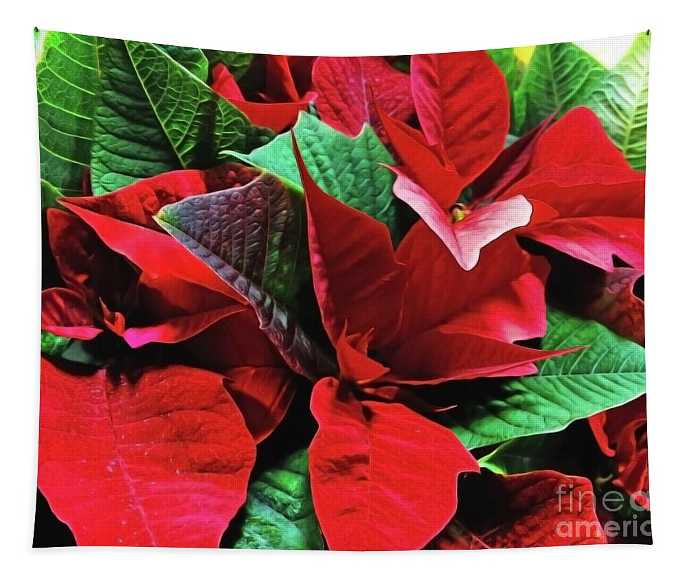 Christmas Decoration Tapestry featuring the photograph Euphorbia pulcherrima by Jasna Dragun