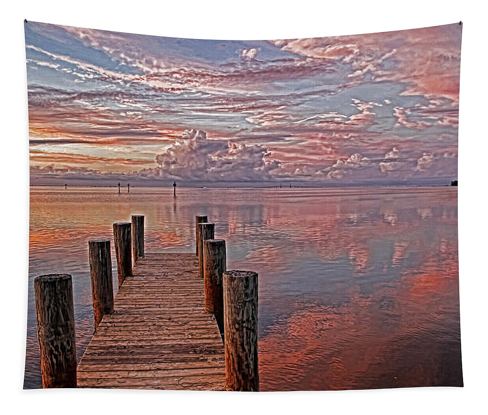Pink Clouds Tapestry featuring the photograph Evening Bliss by HH Photography of Florida